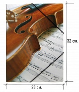    4 Violin